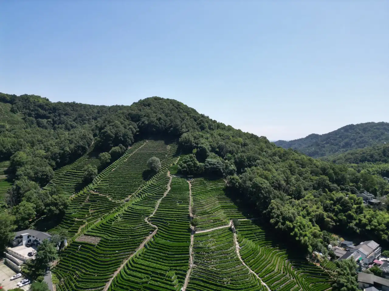2025年华南地区设备融资租赁政策调整与影响分析