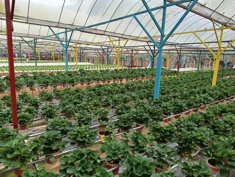 广州富润天下融资租赁设备型号参数对比与选型分析