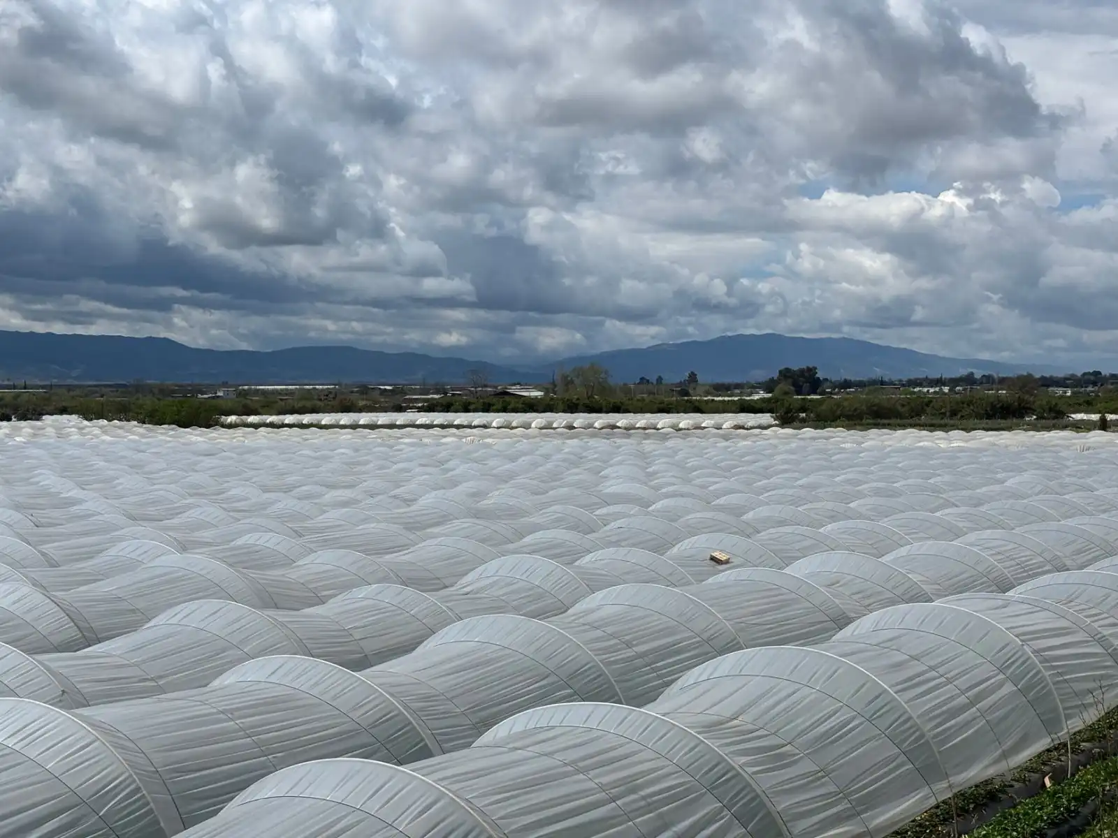 广州融资租赁行业观察：金融服务助力制造业降低采购成本