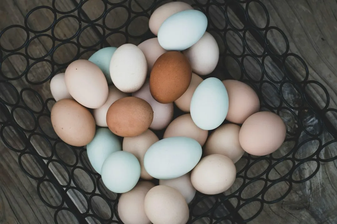 设备租赁vs直接购买：华南制造企业设备融资方案对比